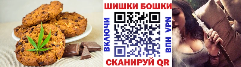 гидра зеркало Котовск Canna-Cookies конопля